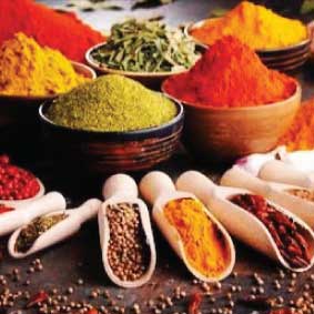 Traditional South African Indian spice blend